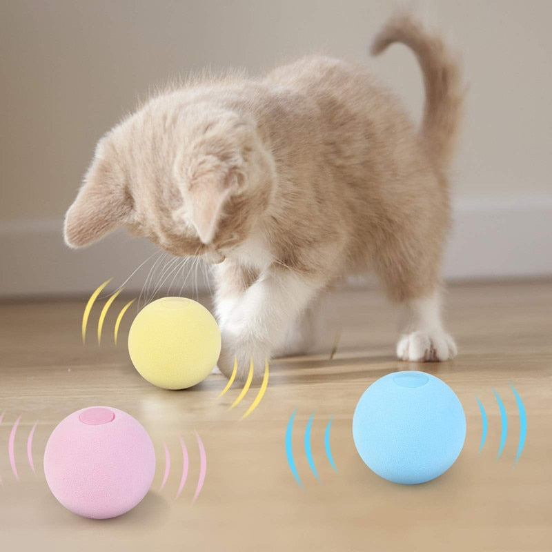 Cat Toy Balls