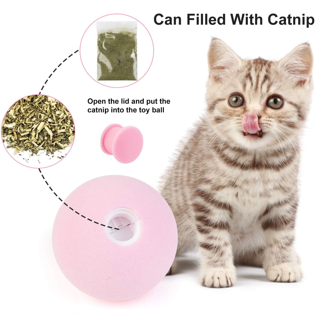 Cat Toy Balls